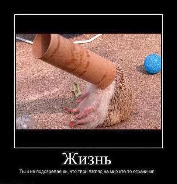 Жизнь Ты и не подозреваешь, что твой взгляд на мир кто-то ограничил